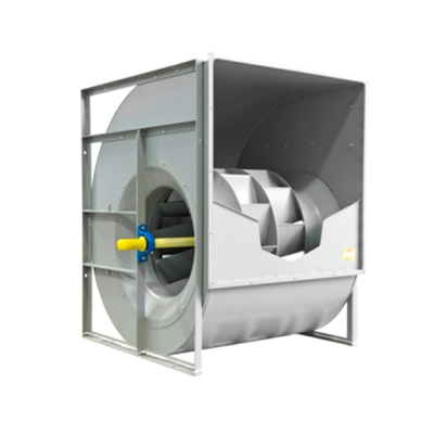 Nicotra Serisi Fanlar