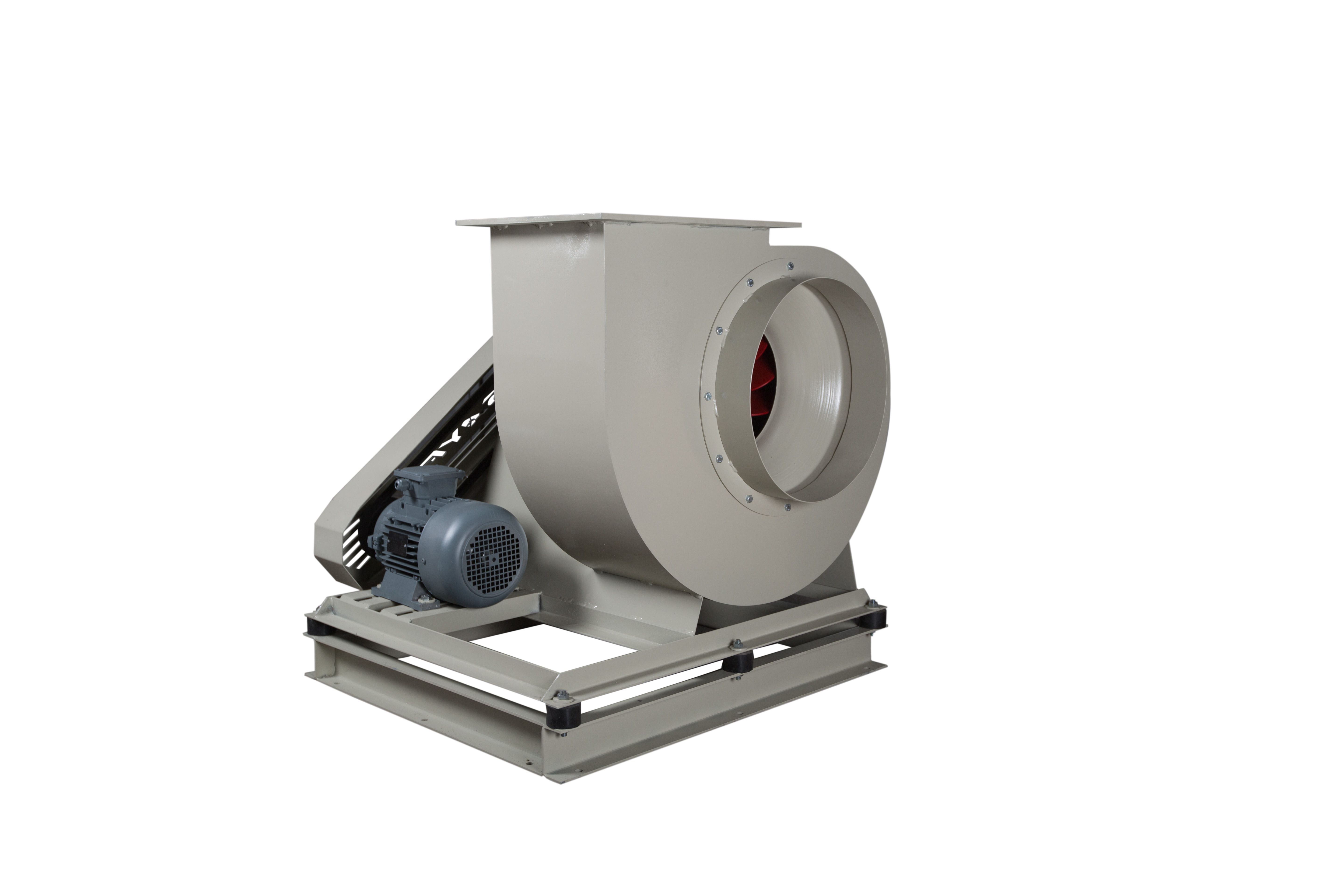 KAYIŞ KASNAKLI SALYONGOZ FAN