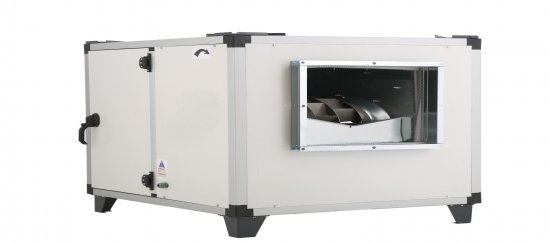 SEYREK KANATLI HÜCRELİ FANLAR