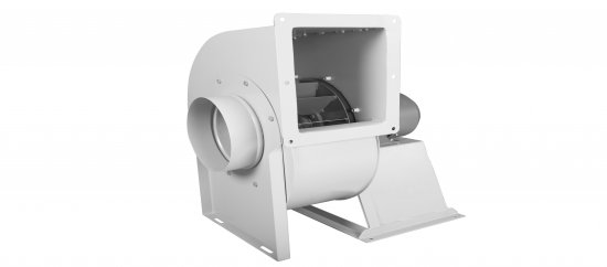 SEYREK KANATLI SALYANGOZ FANLAR